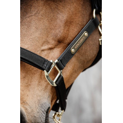 Anatomisch Halster Nylon Kentucky Zwart