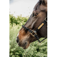 Controlehalster Kentucky Zwart
