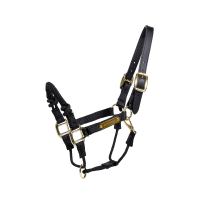 Controlehalster Kentucky Zwart Controlehalster Kentucky Zwart