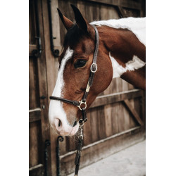 Kentucky lederen halster van Pansage