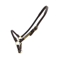 Kentucky lederen halster van Pansage Bruin