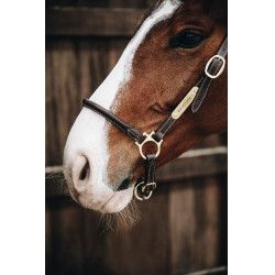 Kentucky lederen halster van Pansage Kentucky lederen halster van Pansage
