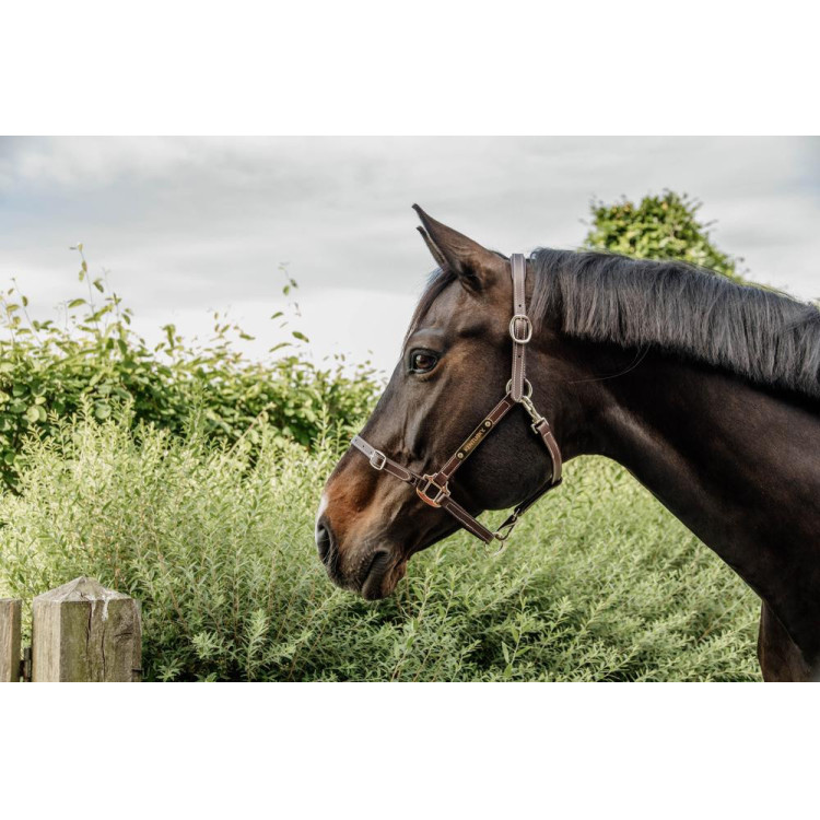 Flexibele Halster Kentucky