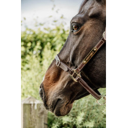 Flexibele Halster Kentucky Bruin