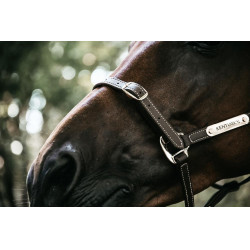 Flexibele Halster Kentucky Bruin