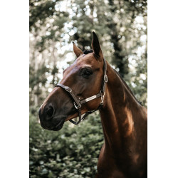 Flexibele Halster Kentucky Bruin