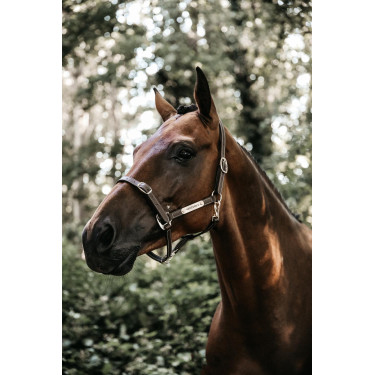 Flexibele Halster Kentucky Flexibele Halster Kentucky