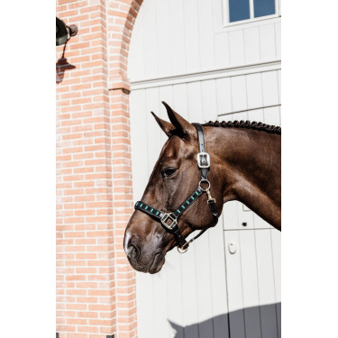 Halster Pearls Kentucky Zwart Halster Pearls Kentucky Zwart