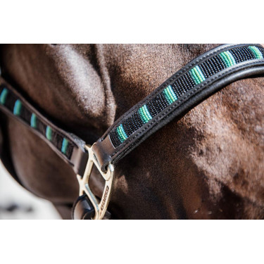 Halster Pearls Kentucky Zwart Halster Pearls Kentucky Zwart