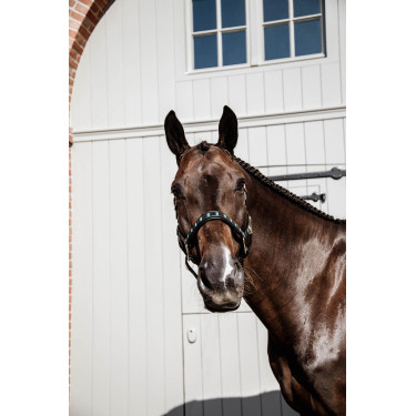 Halster Pearls Kentucky Zwart Halster Pearls Kentucky Zwart