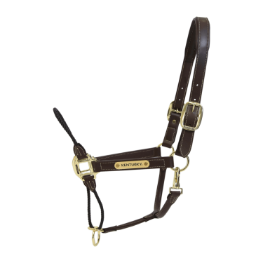 Licol Rope in leer Kentucky Licol Rope in leer Kentucky