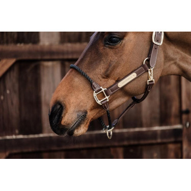 Licol Rope in leer Kentucky Licol Rope in leer Kentucky