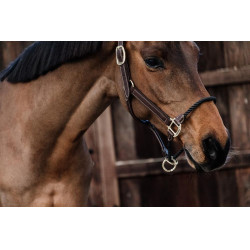 Licol Rope in leer Kentucky Bruin