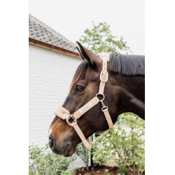 Halster Teddy Fleece Kentucky