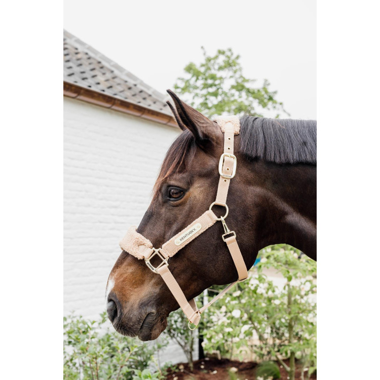 Halster Teddy Fleece Kentucky