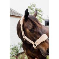 Halster Teddy Fleece Kentucky Oudroze Halster Teddy Fleece Kentucky Oudroze