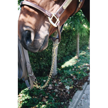Ketting voor hengst Kentucky Ketting voor hengst Kentucky