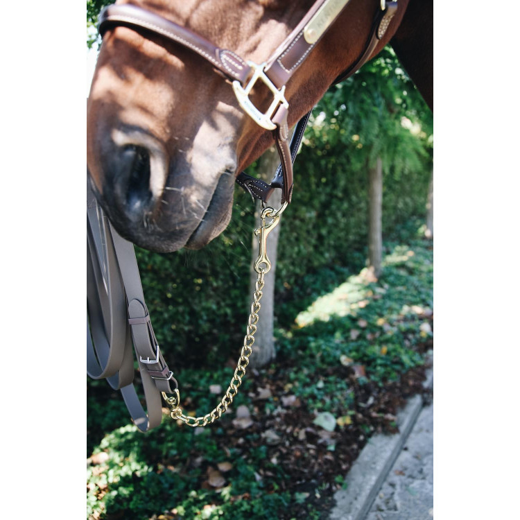 Ketting voor hengst Kentucky