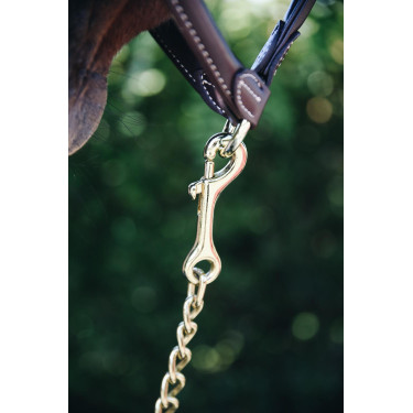 Ketting voor hengst Kentucky Ketting voor hengst Kentucky