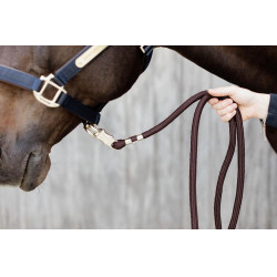 Lijn Anti-Paniek Kentucky Bruin Lijn Anti-Paniek Kentucky Bruin