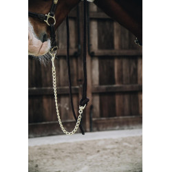 Longeerlijn Loop Basic Kentucky Bruin