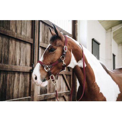 Longe Plaited Nylon Kentucky Bordeaux