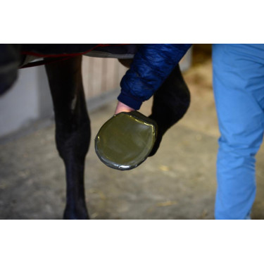 Beschermingshoef Kentucky Beschermingshoef Kentucky