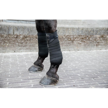 Zwarte Elastische Band Kentucky Zwart