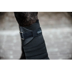 Polar Fleece & Elastische Polobanden Kentucky Polar Fleece & Elastische Polobanden Kentucky