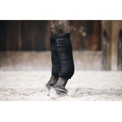 Werkbandages Repellent Kentucky