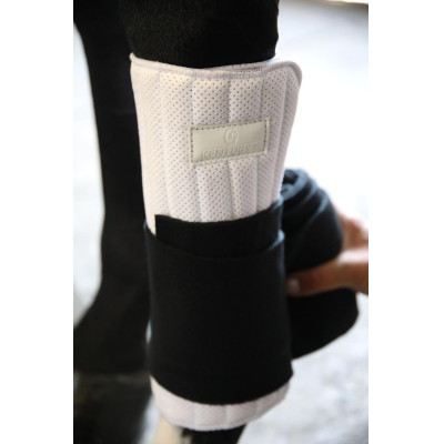 Werkbandages Absorb Kentucky Wit
