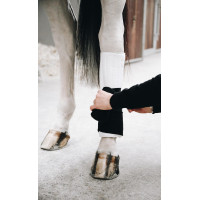 Werkbandages Absorb Kentucky Wit