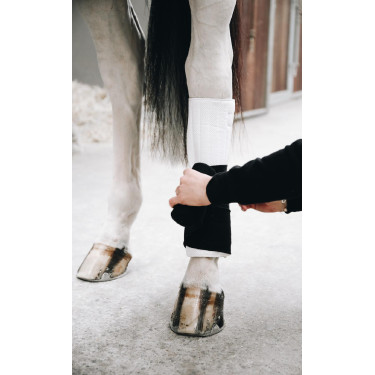 Werkbandages Absorb Kentucky Wit