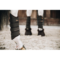 Air Tech Eventing achterbeenbeschermers Kentucky Bruin