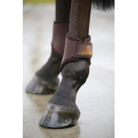 Achterste korte 3D Spacer gesloten peesbeschermers Kentucky Bruin