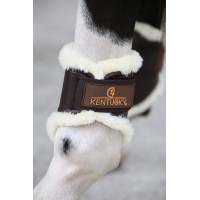 Gesloten peesbeschermers Leer achter kort Kentucky Bruin