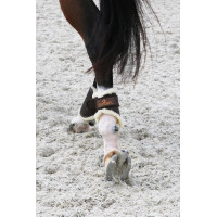 Gesloten peesbeschermers Leer achter kort Kentucky Bruin