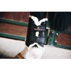 Gesloten peesbeschermers Leer achter Kentucky Zwart