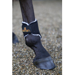 Korte achterste gesloten beenbeschermers Solimbra Kentucky Zwart