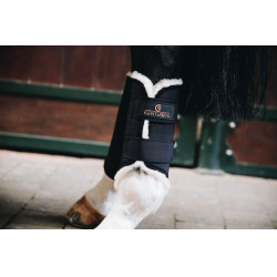 Gesloten achterbeenbeschermers Solimbra Kentucky Zwart Gesloten achterbeenbeschermers Solimbra Kentucky Zwart