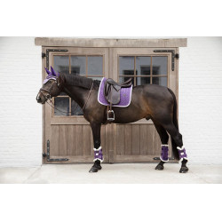 Gesloten peesbeschermers Velvet Contrast Kentucky Koninklijk mauve Violet