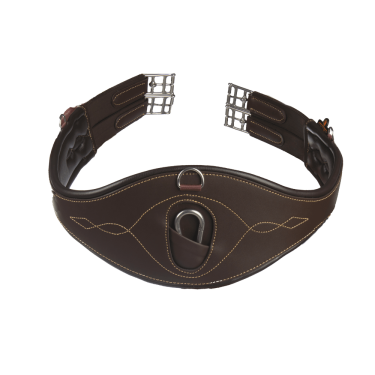 Anatomische Singel Kentucky Bruin