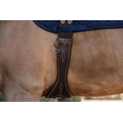 Anatomische Singel Kentucky Bruin