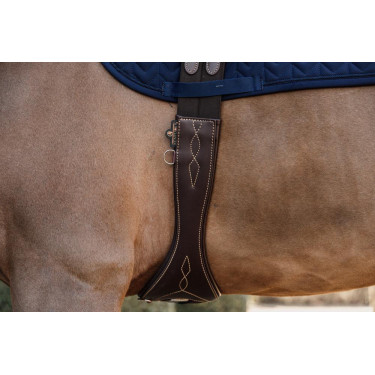 Anatomische Singel Kentucky Bruin