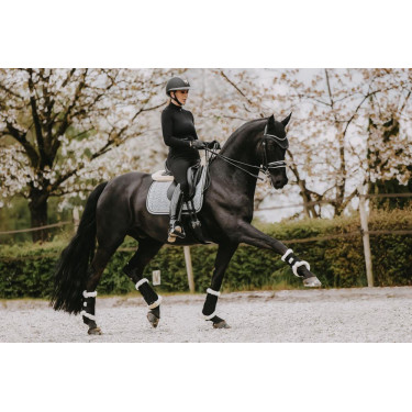 Dressuursingelpad Pied-de-poule Kentucky Zwart