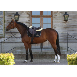 Springzadeldoek Kentucky Springzadeldoek Kentucky