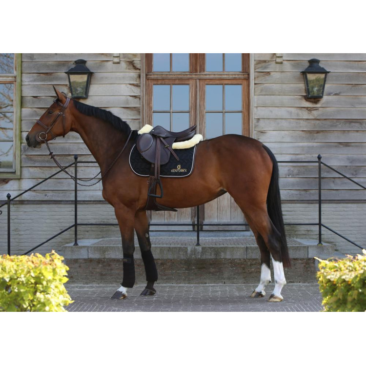 Springzadeldoek Kentucky Springzadeldoek Kentucky