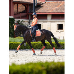 LeMieux Suede Dressuur Zadeldek LeMieux Suede Dressuur Zadeldek