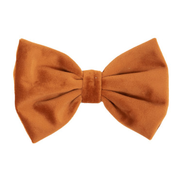 Fluwelen Vlinderdas Kentucky Oranje