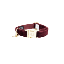 Collier pour chien Corduroy Kentucky Bordeaux